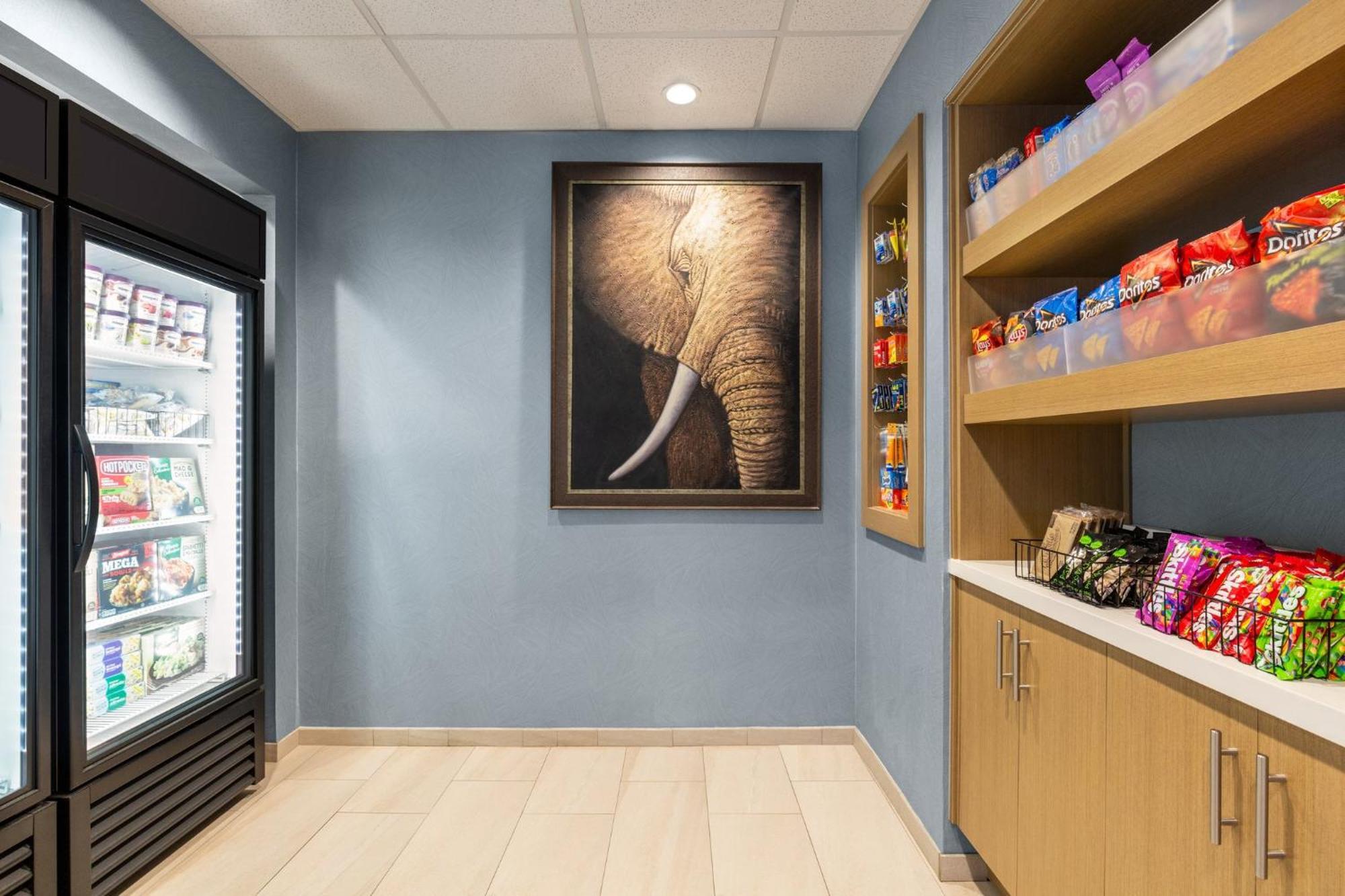 Holiday Inn Express & Suites - Tuscaloosa-University By Ihg エクステリア 写真